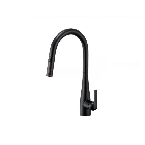 Vòi nước Eurogold dây rút inox 304 phủ nano đen EUF118DR